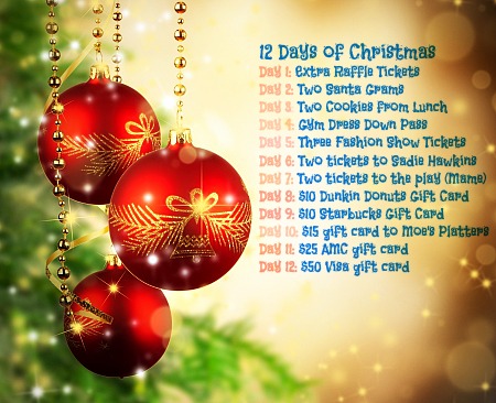 Twelve Days of Christmas!