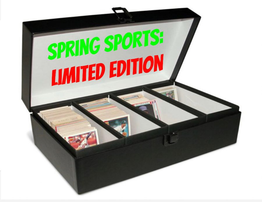 Spring Sports: Limited Edition