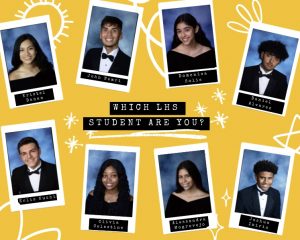 Which LHS senior are you?