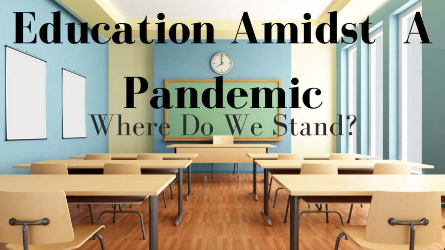 Education Amidst a Pandemic: Where Do We Stand?