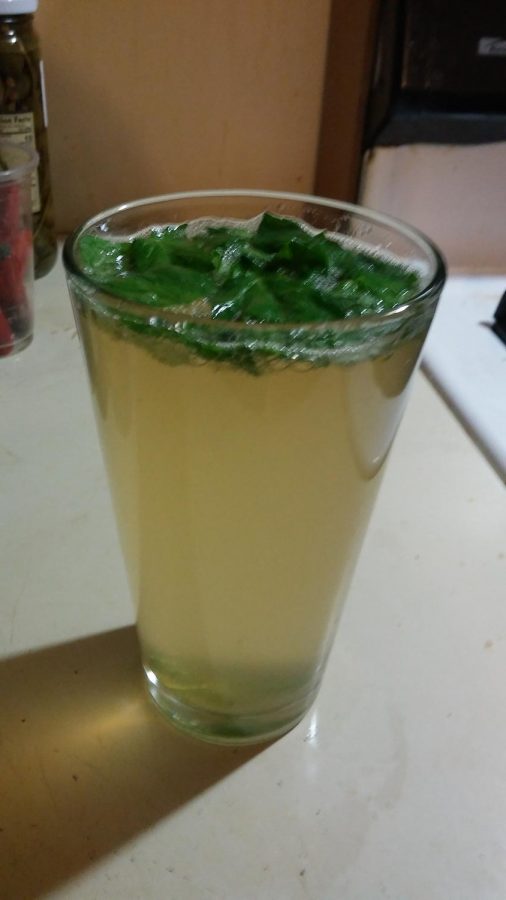 Unorganized Cooking: Mint Lime Drink